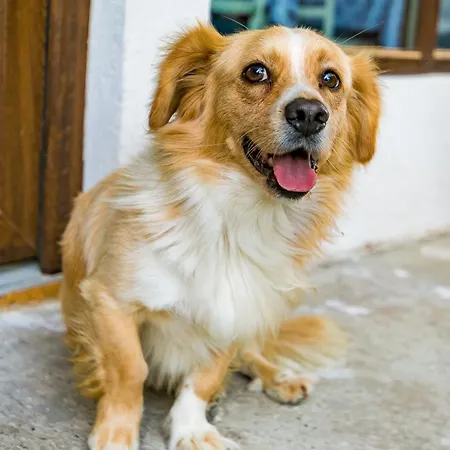 Affittacamere Blue Marine